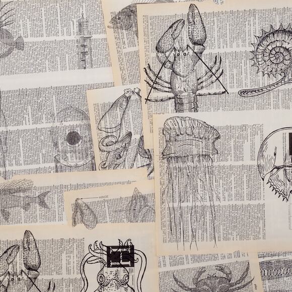 Sea Themed Dictionary Prints, Black and White Sea Prints, Book Page Prints - Picture 1 of 6